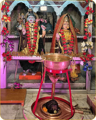 Parvati Shankar