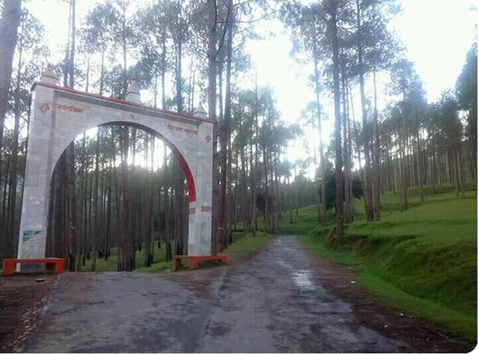 Entrance Arch passing through Pine Forest